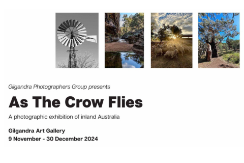 As The Crow Flies Exhibition Opening